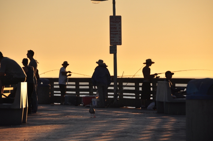 fishing on the pier